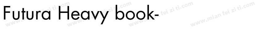 Futura Heavy book字体转换